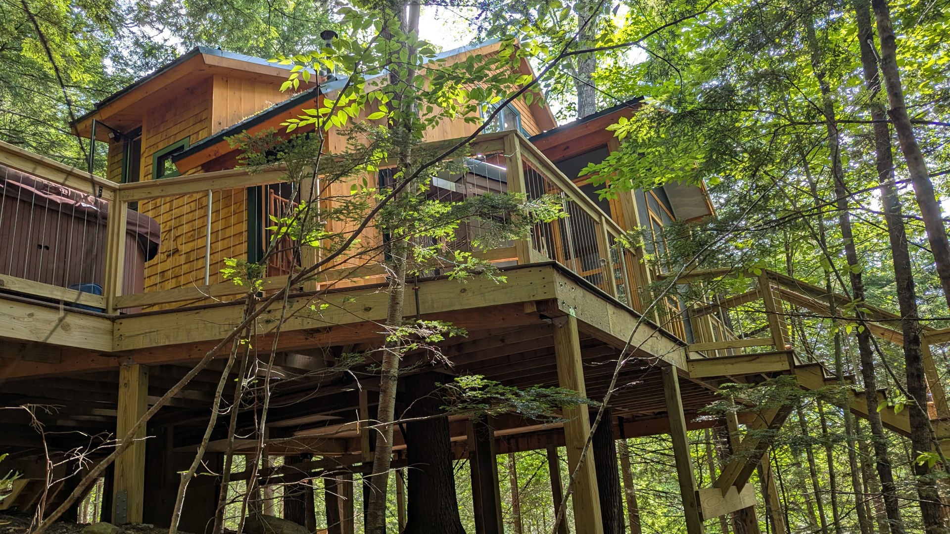 The treehouse